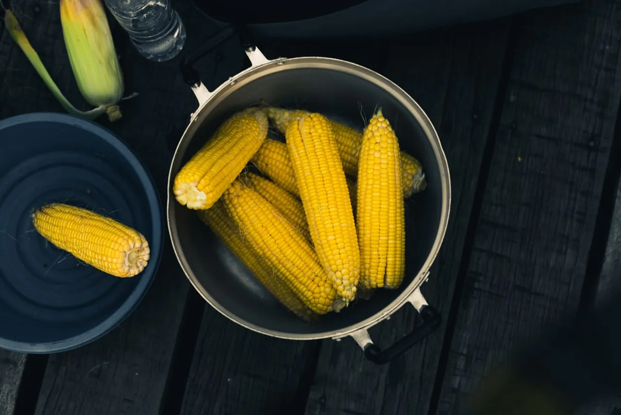 Corn recipes that will make you corn fess your love for them