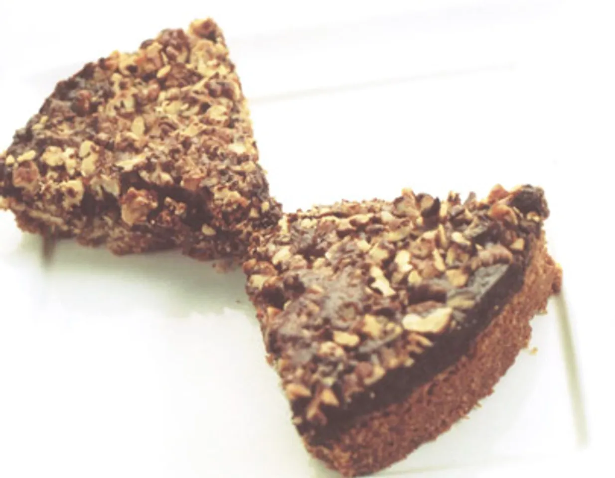 Chocolate And Coconut Slices