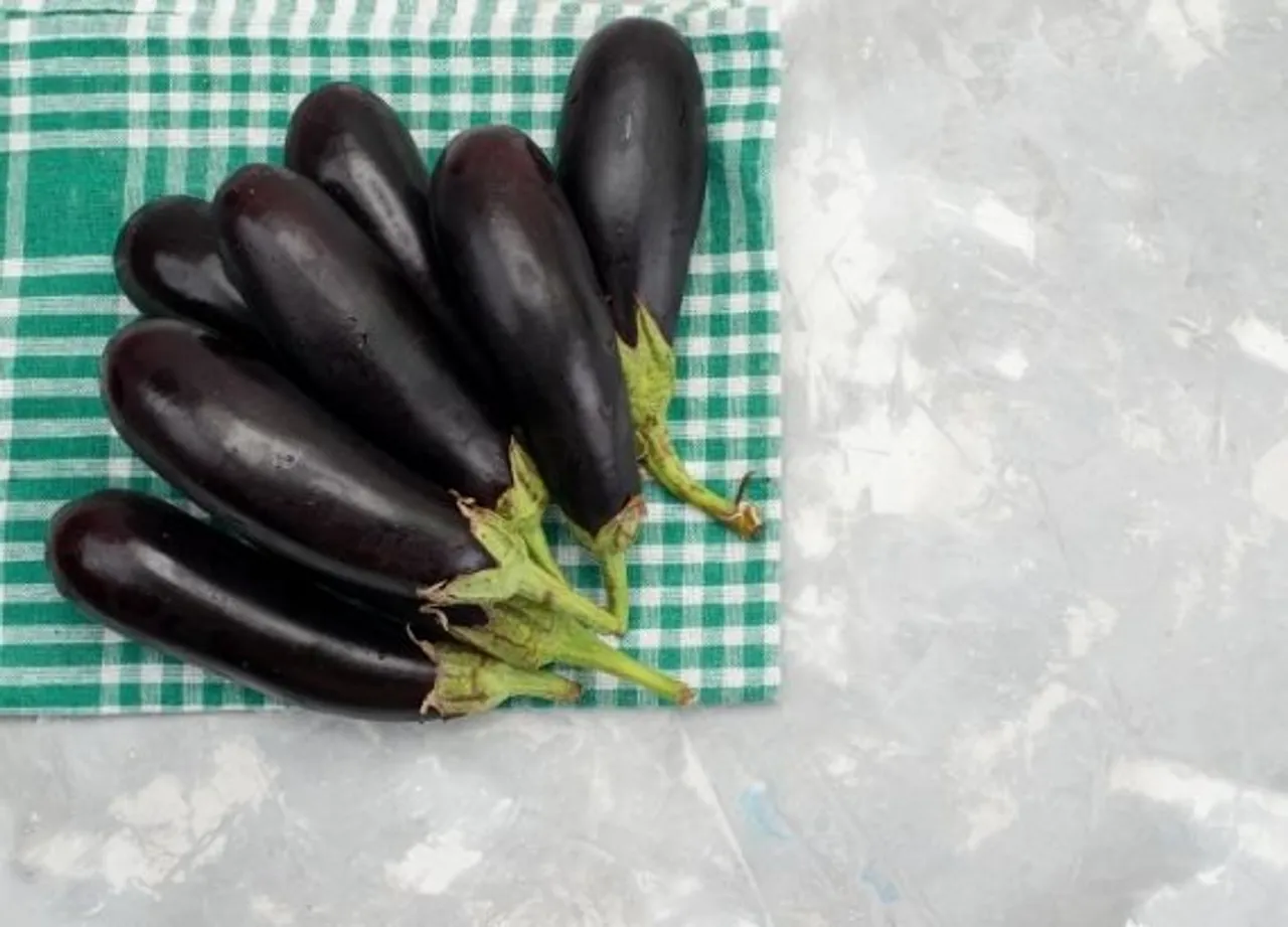 Delicious Recipes Made Using the Mighty Eggplant