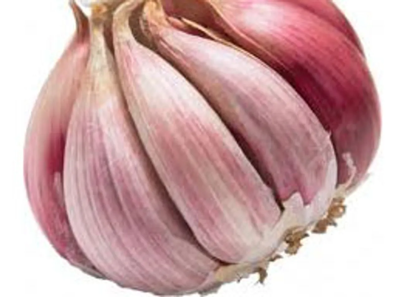 Garlic the wonder food