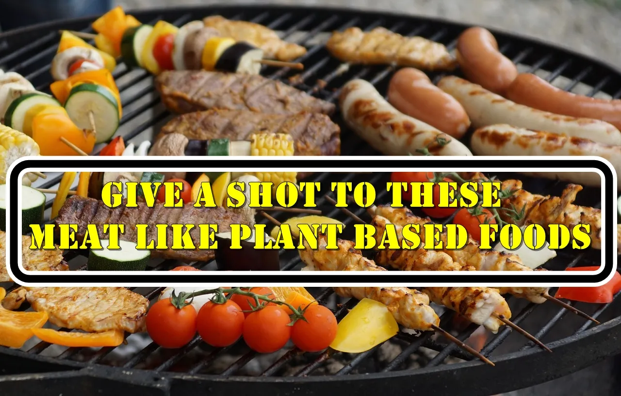 Give a shot to these Plant Based Meat Alternatives