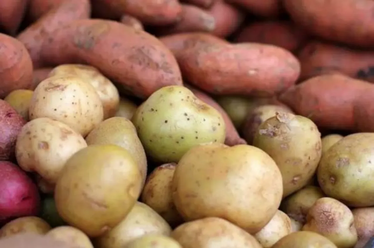 Potato Vs Sweet Potato What to Keep and What to Chuck