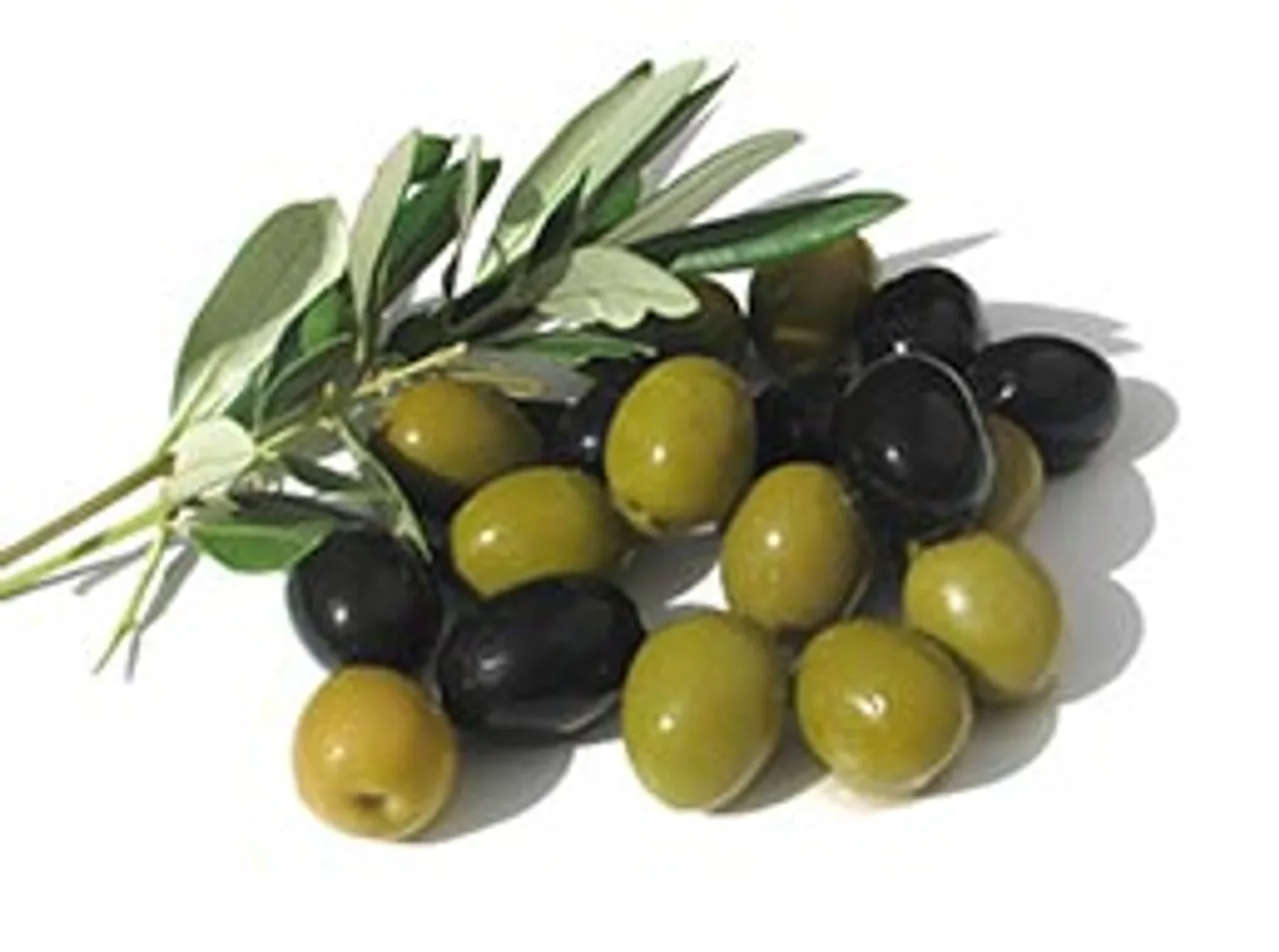 Olive it up