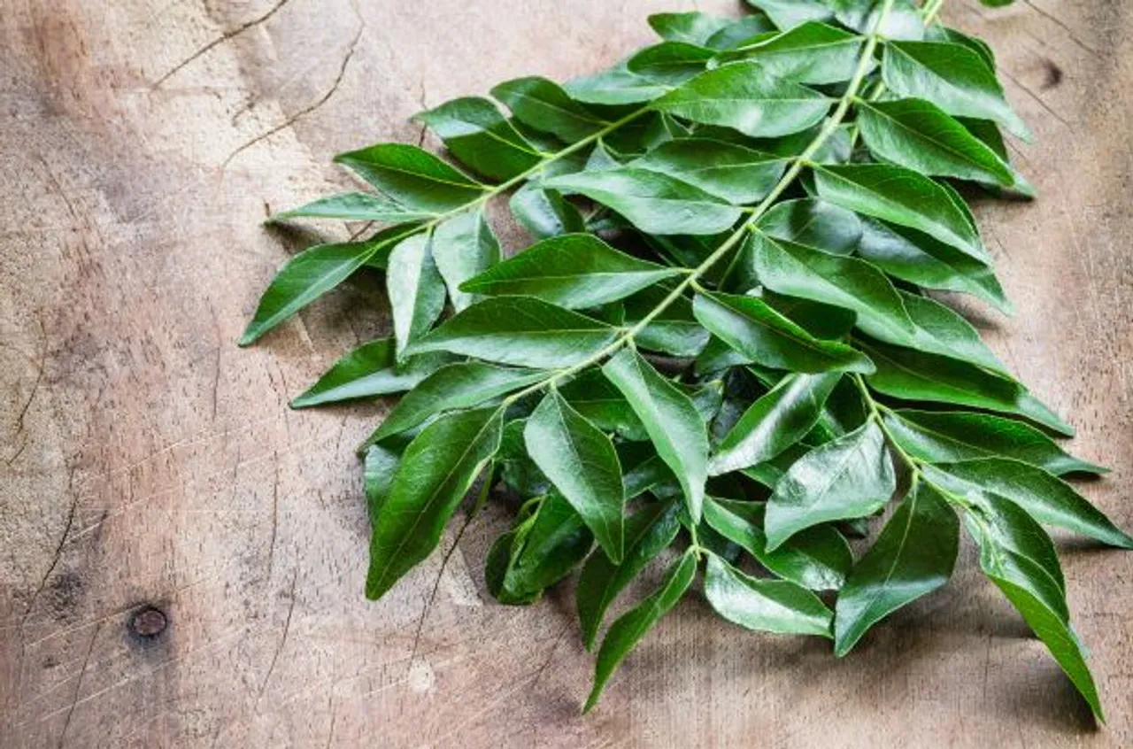 Spice up your curries with curry leaves