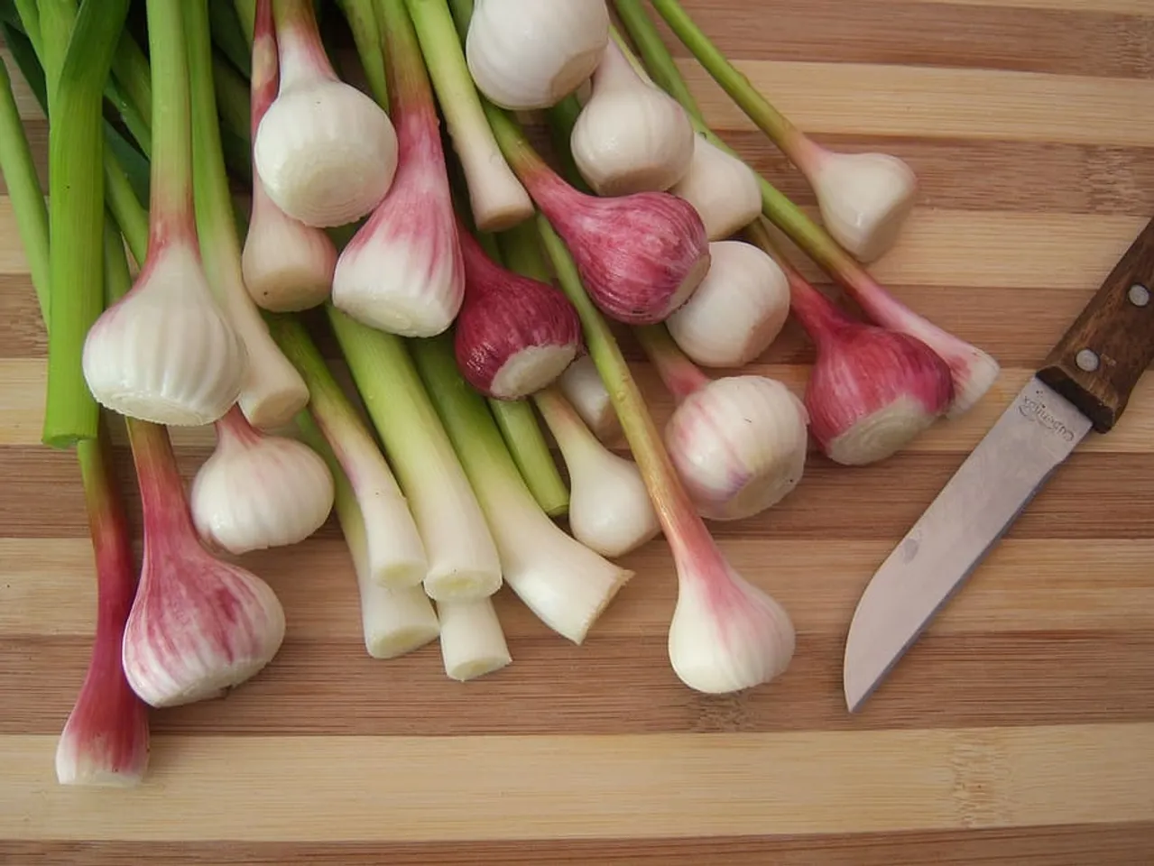 Try these delish spring onion recipes at home