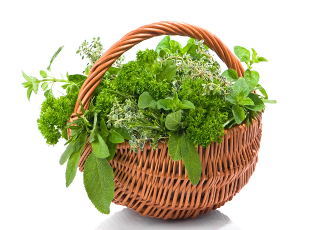 10 common herbs and what you didnt know they do