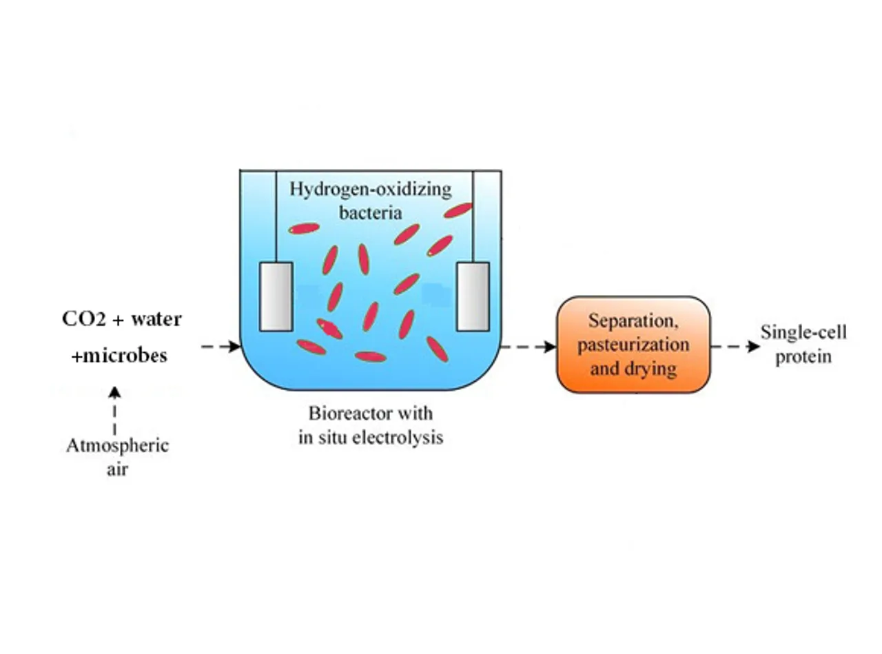 Electric bioreactor to produce food from air