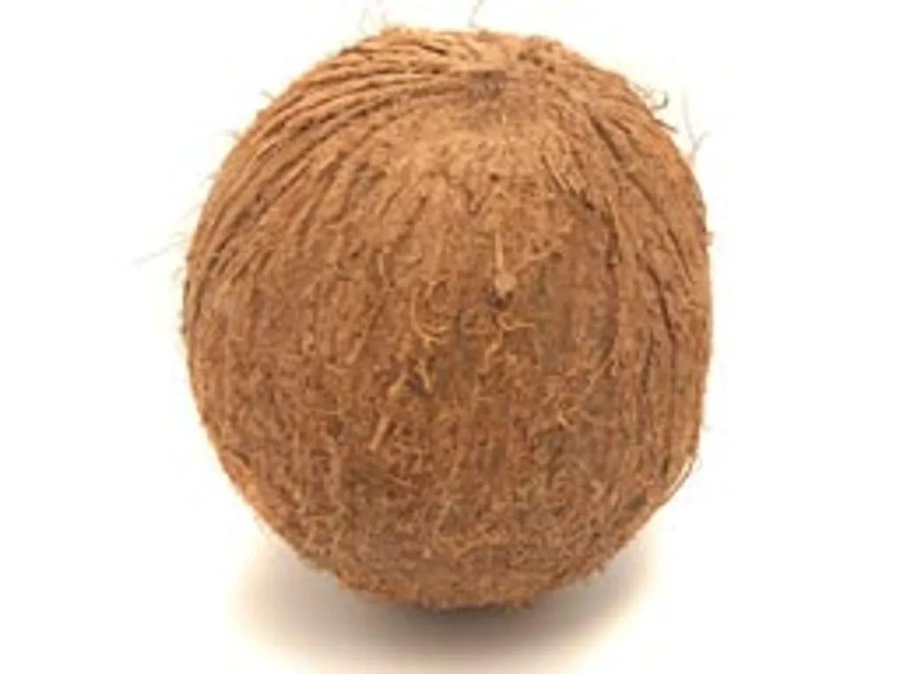 Kalpavriksha Coconut