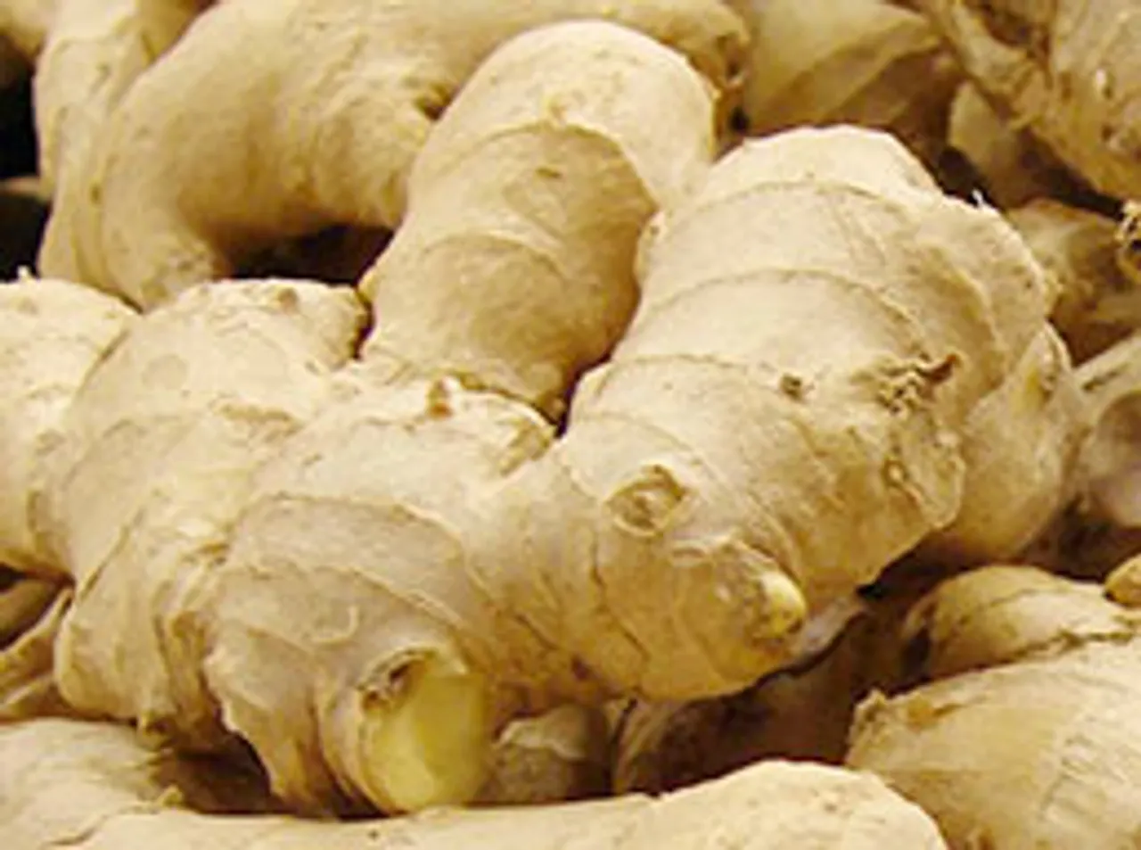 Ginger is not just a root