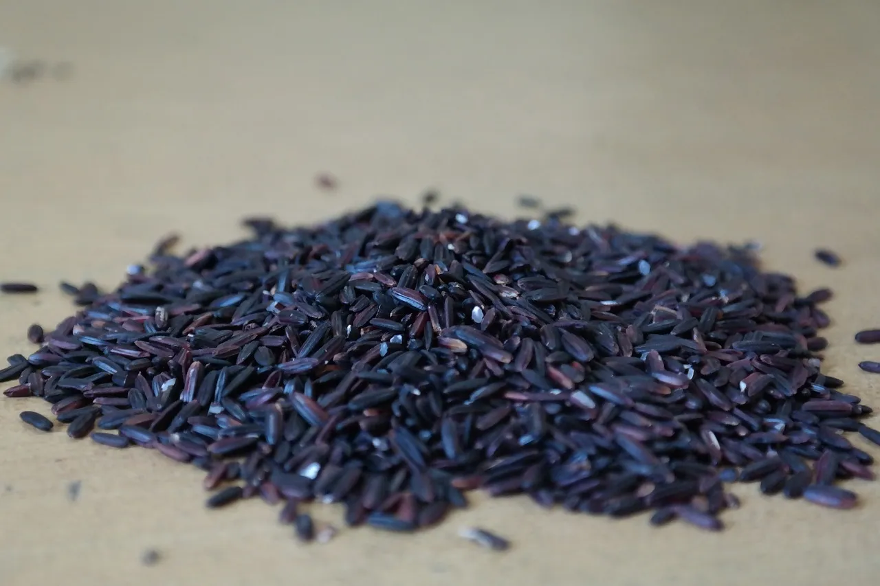 Black rice  the not so forbidden rice