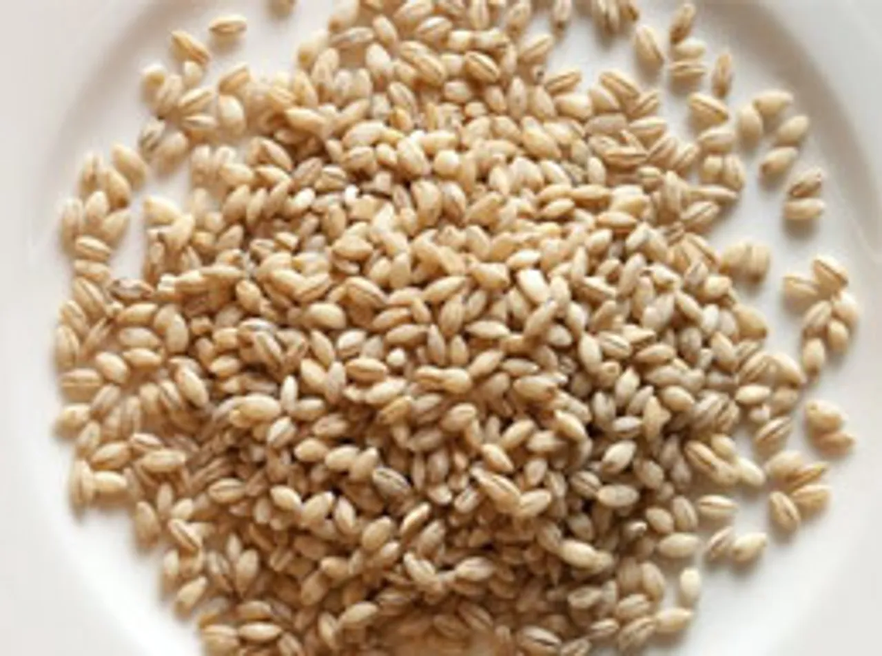 Barley a grain so nutritious