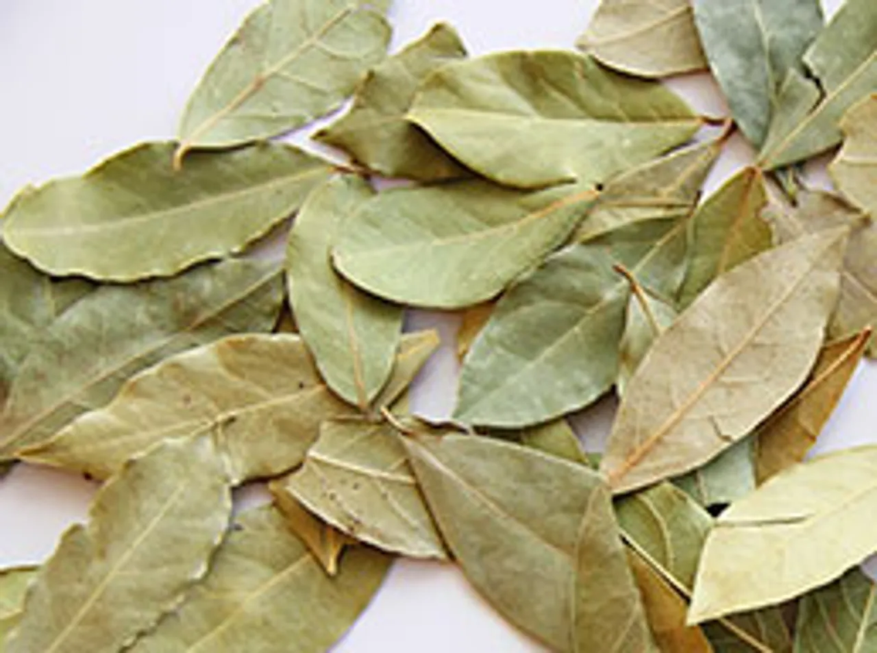 Which way do bay leaves go