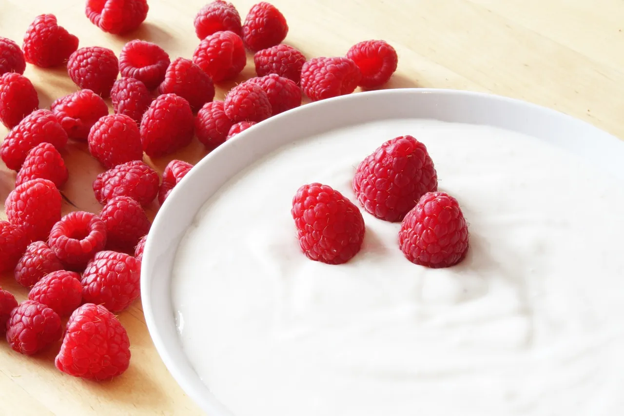 Here is to our favourite probiotic curd