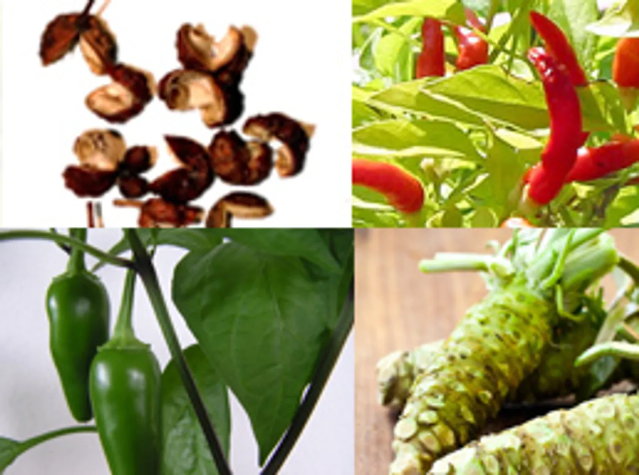 4 ingredients to spice up your winters