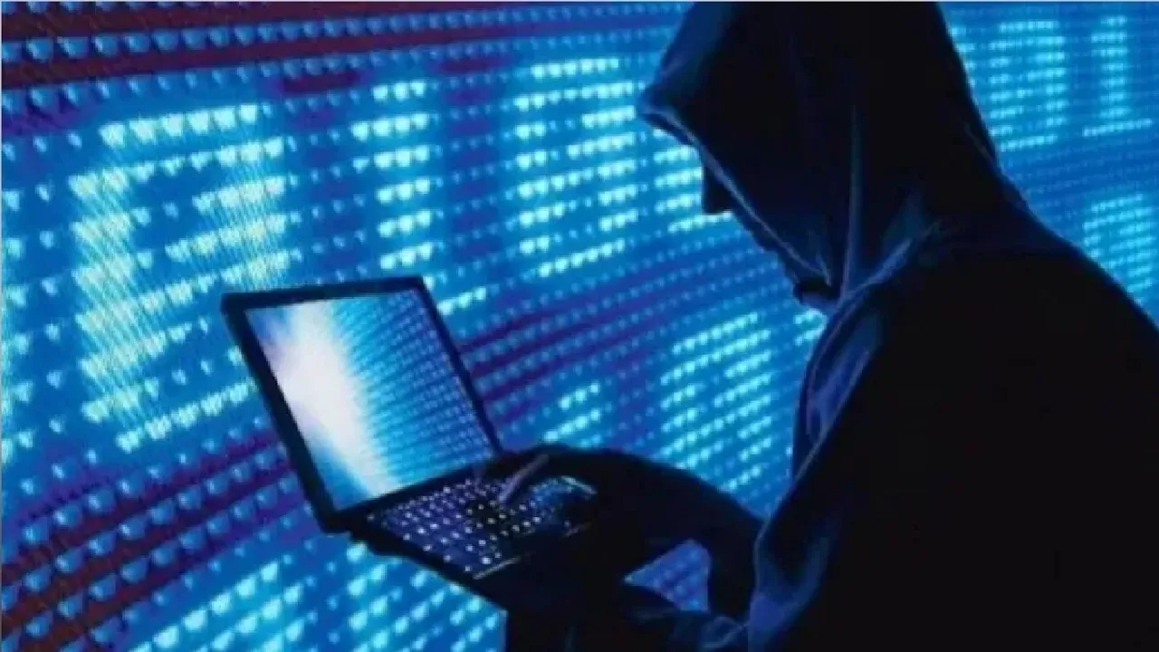 Cyber fraud called 'pig butchering scam' targeting unemployed youths: Centre