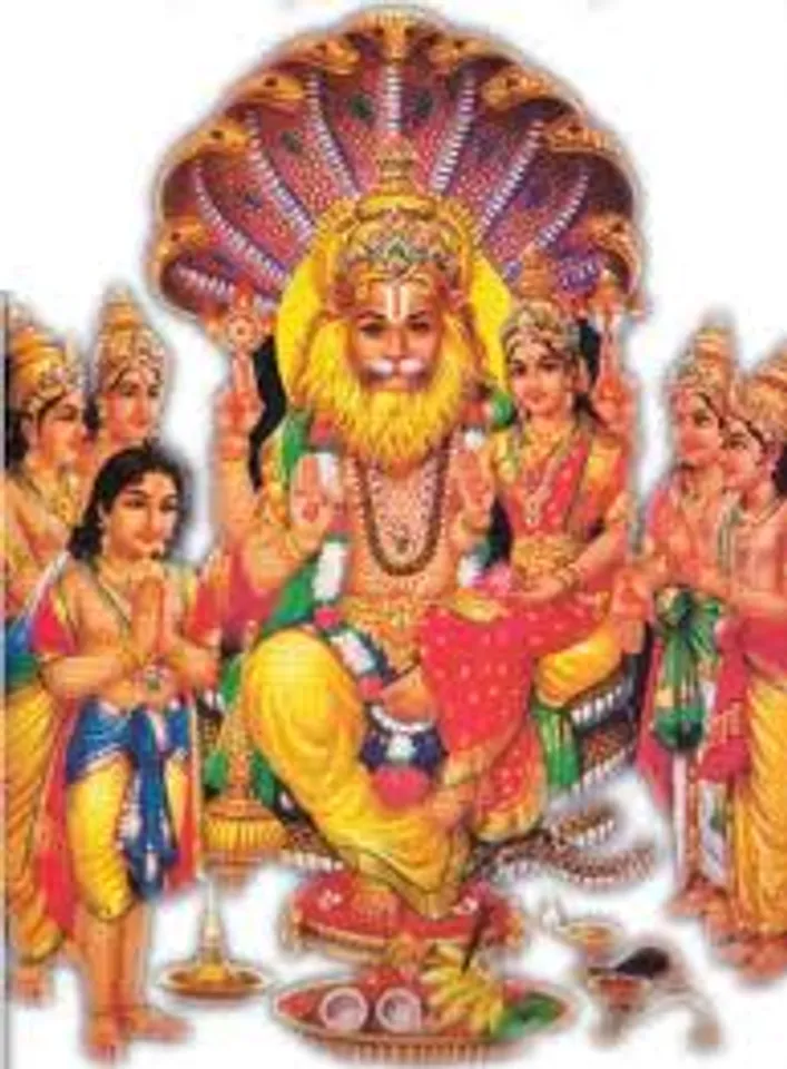 kozhaa 11