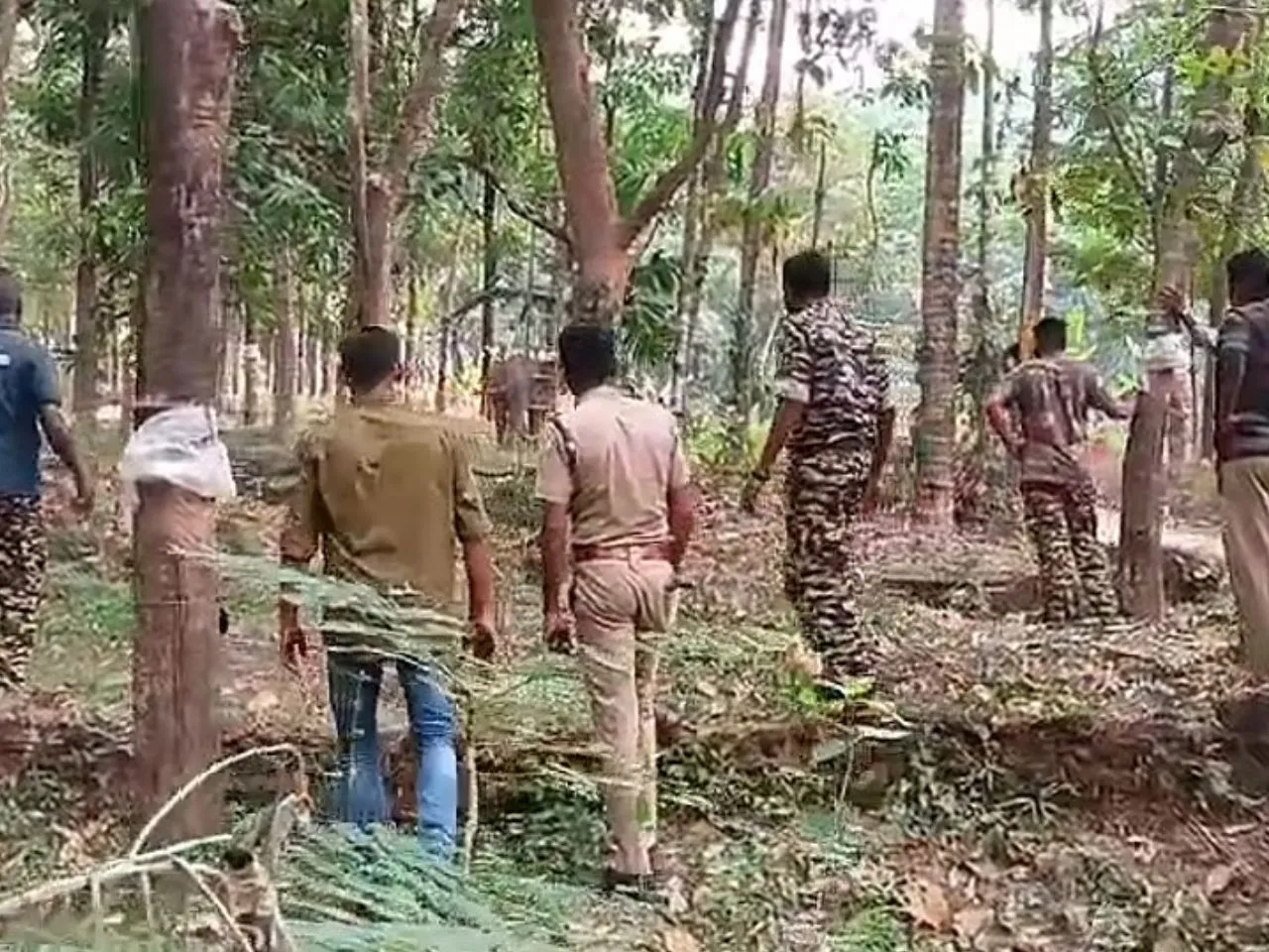 aralam farm