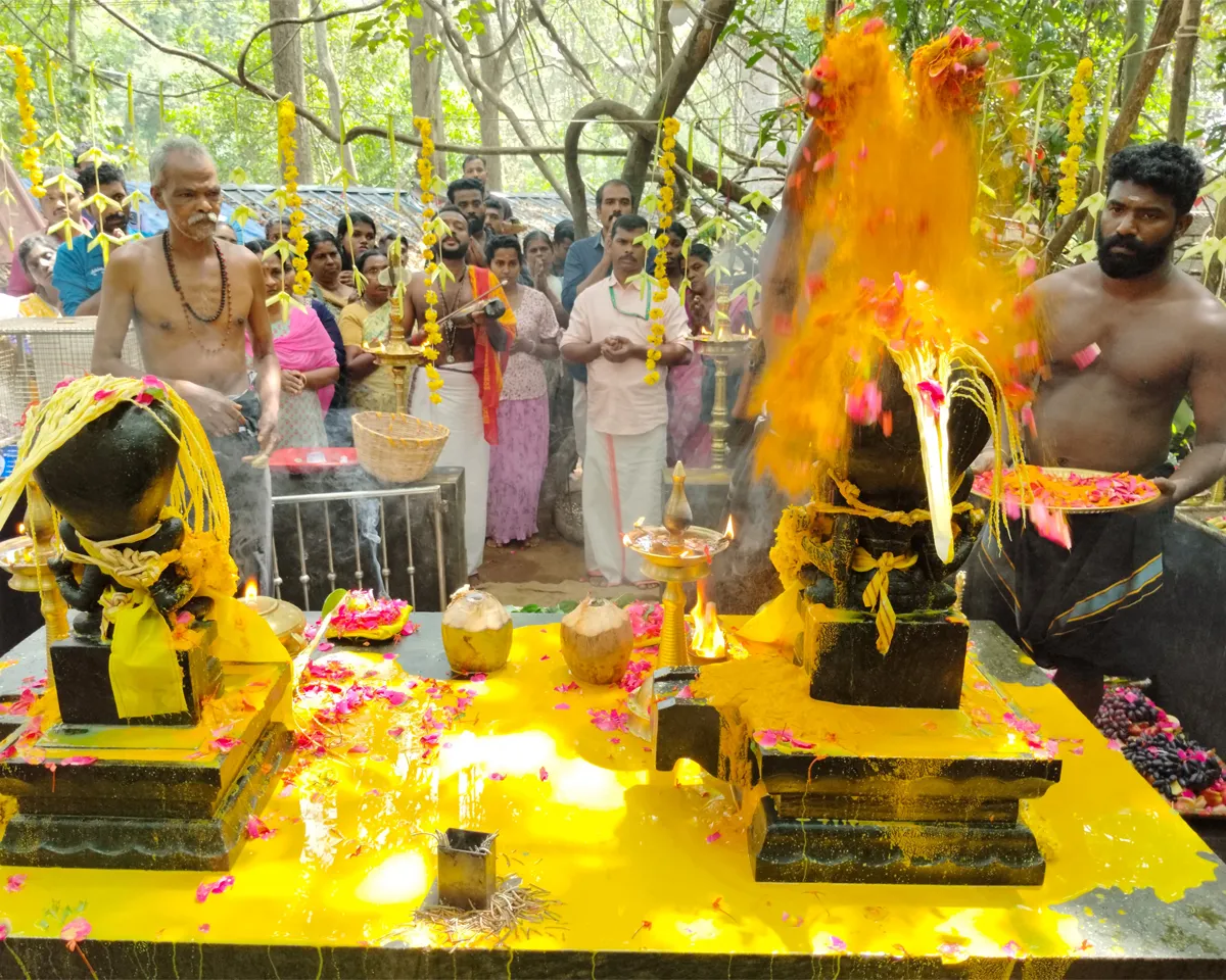 kalleli kavu nagapooja