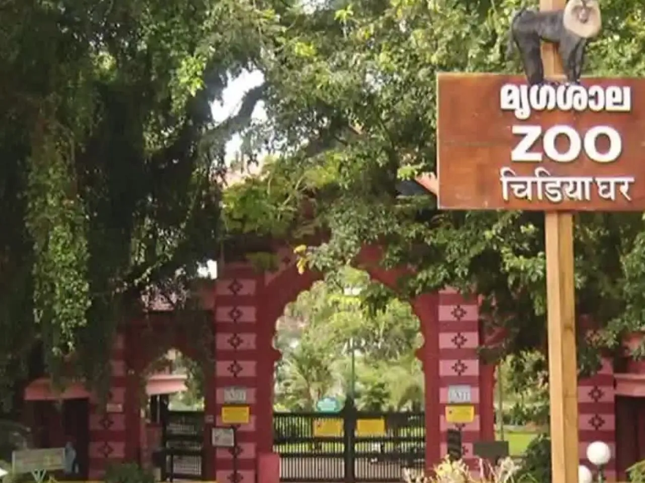 tvm zoo