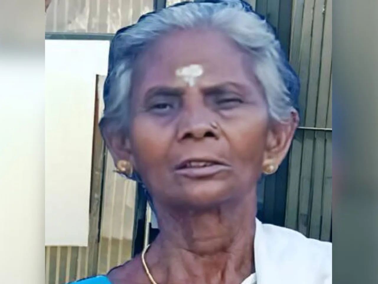 thekkethara manikkapadam kalyani