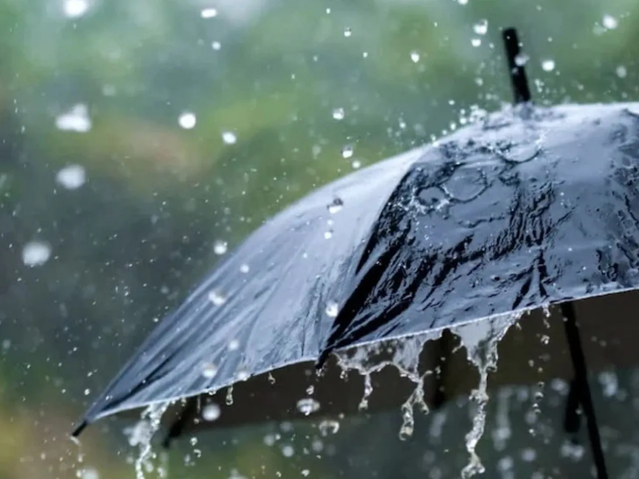 rain kerala1111
