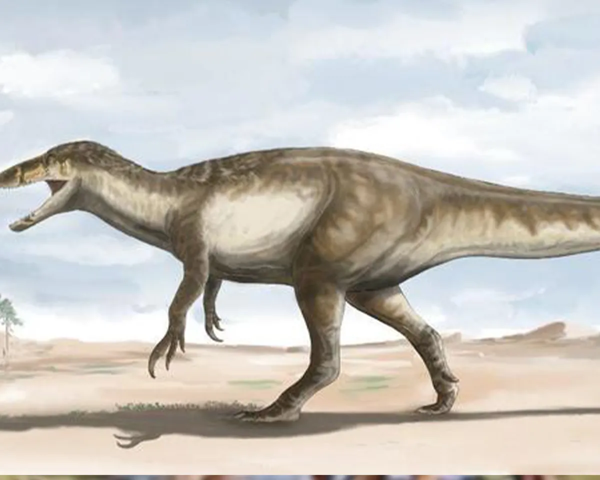 new-species-of-dinosaur-discovered