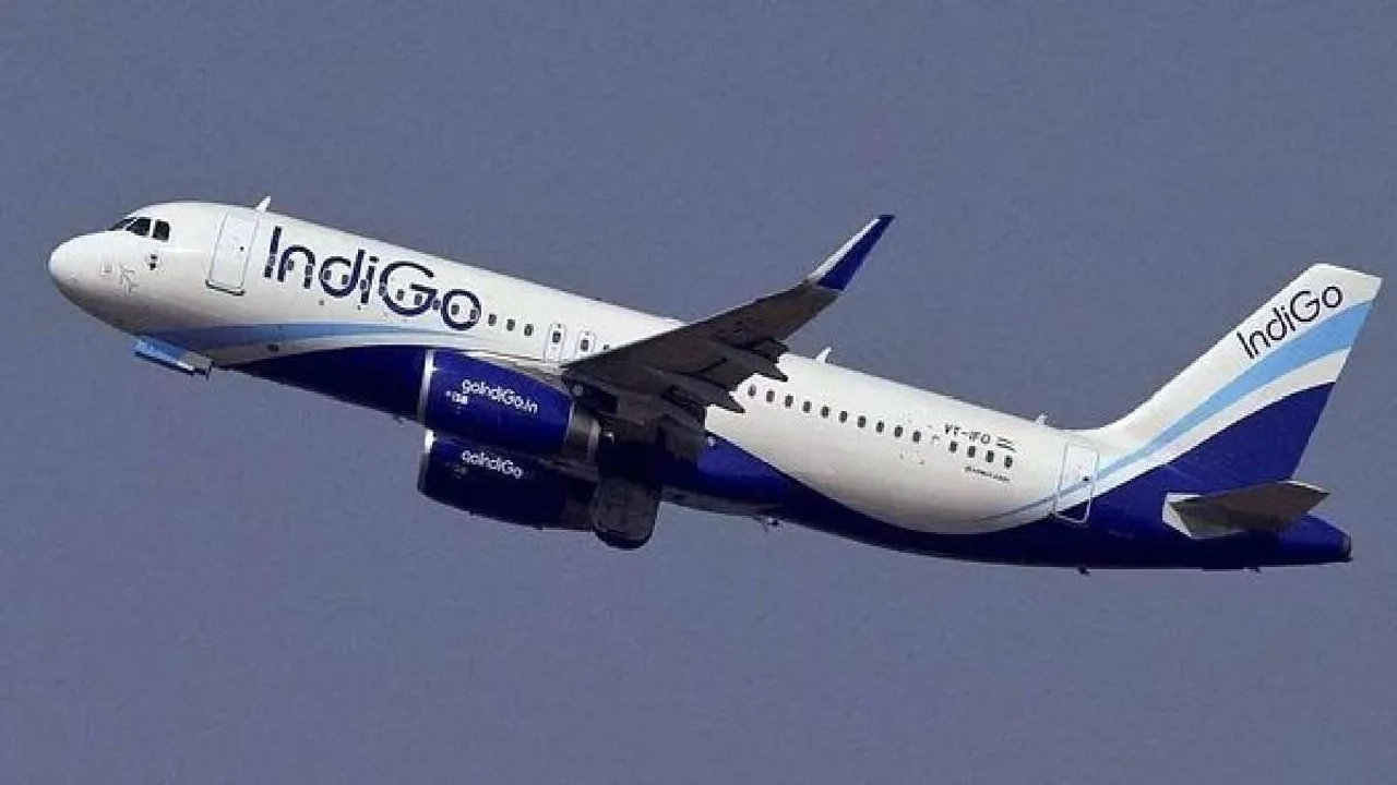 IndiGo 