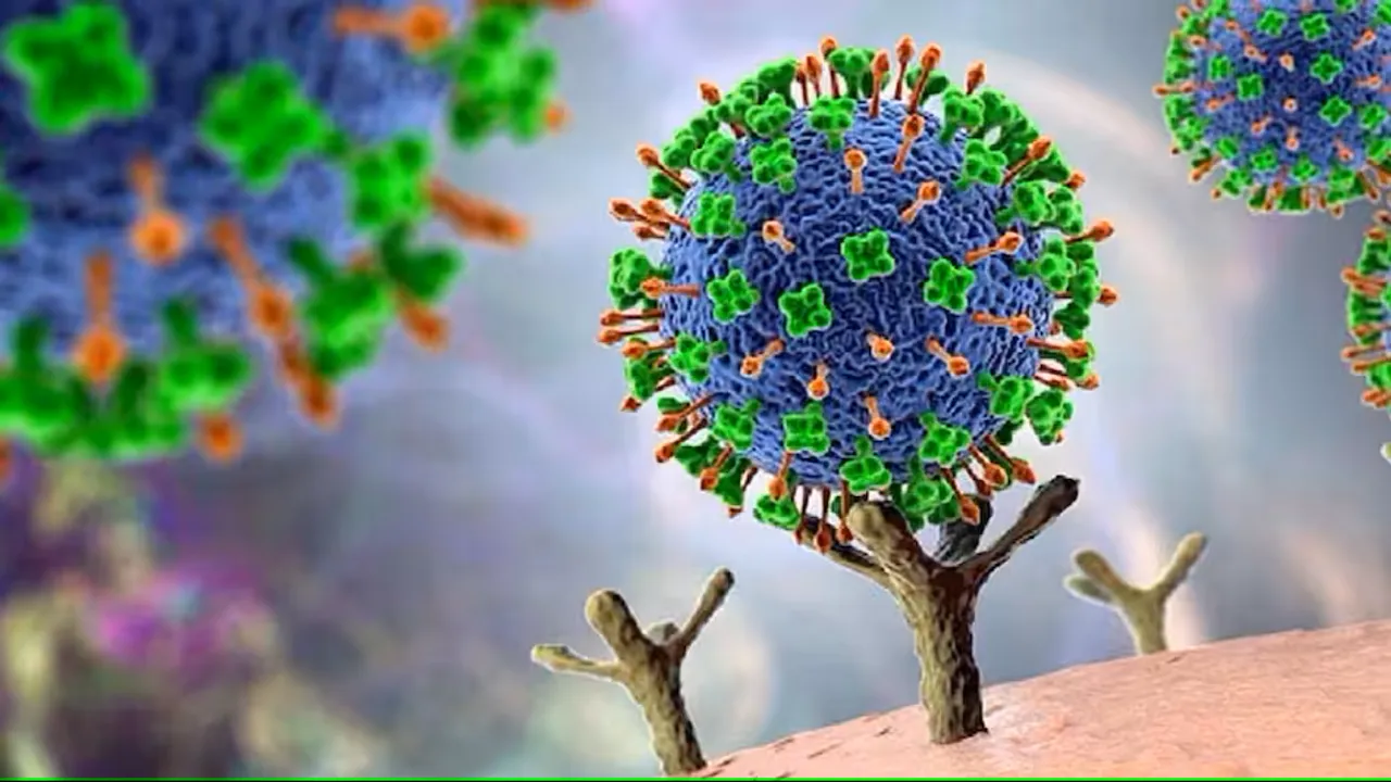 nipa virus 33