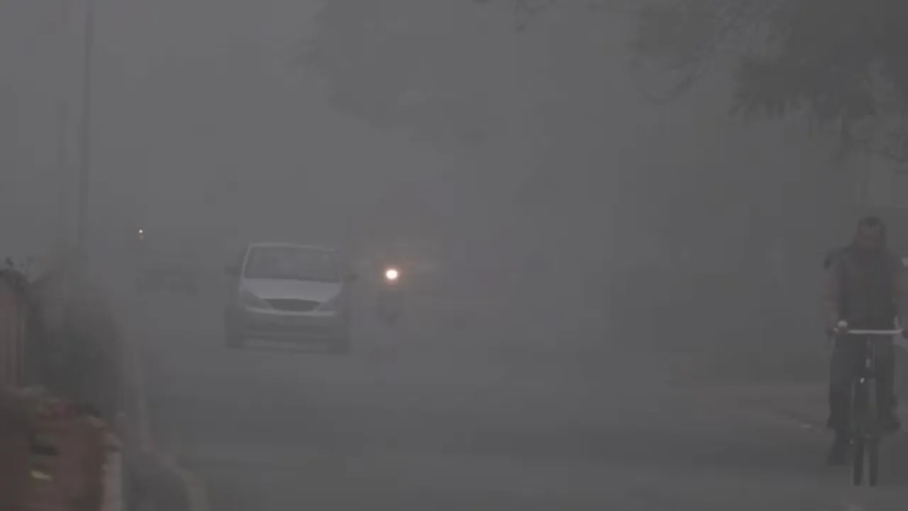 fog_cold_wave_conditions_in_north_india_delhi_1672022566350_1672022566536_1672022566536.jpg