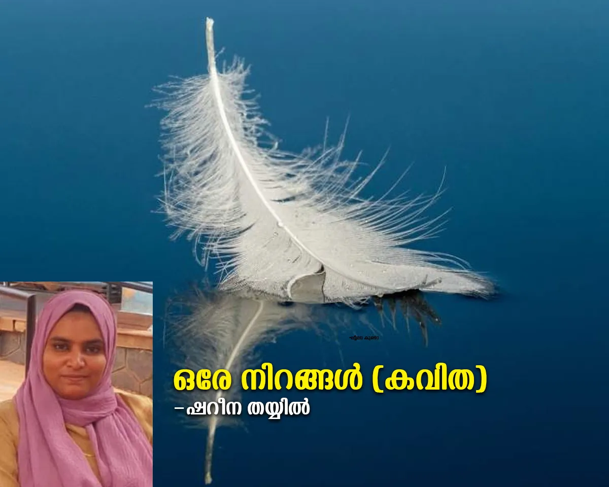 ഒരേ നിറങ്ങൾ (കവിത)