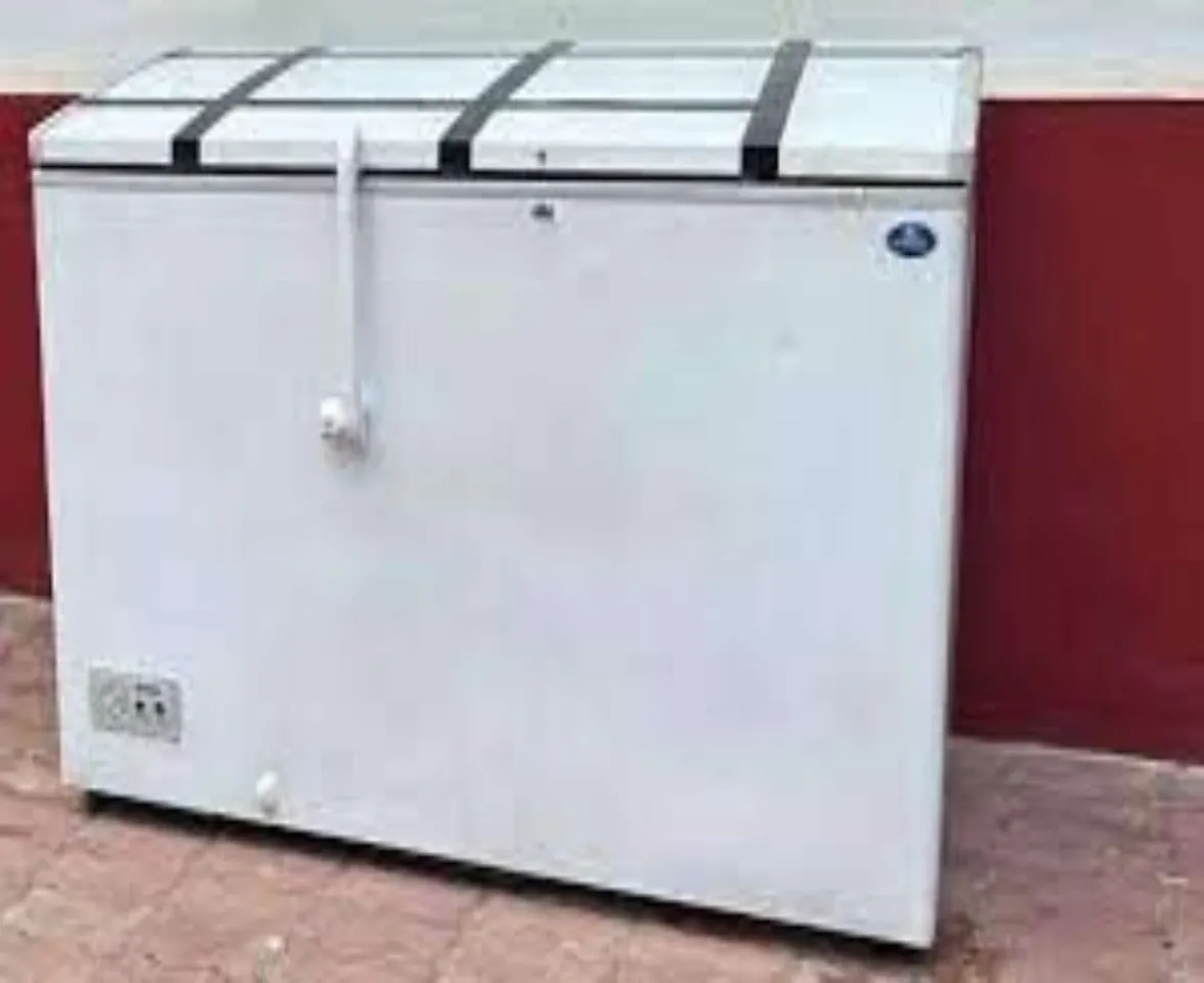 body_in_freezer