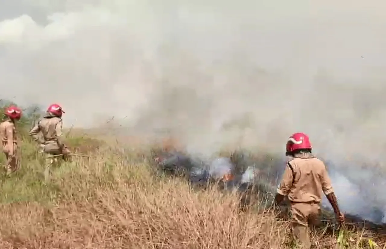 fire attack on farm
