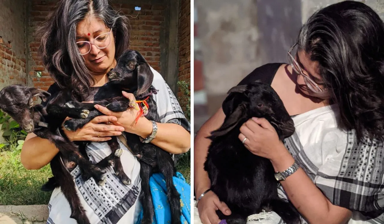 She Leads The Way: Women Shaping Animal Welfare Initiatives In India