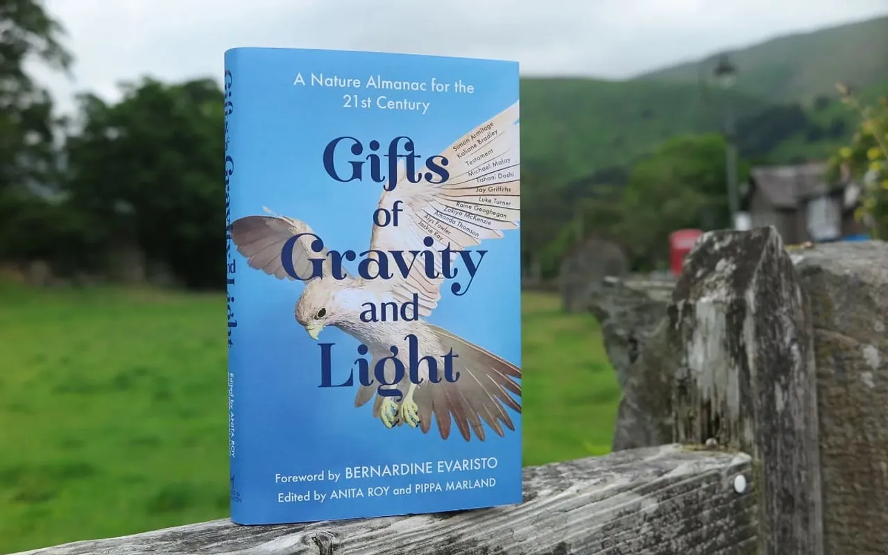 Gifts of Gravity 