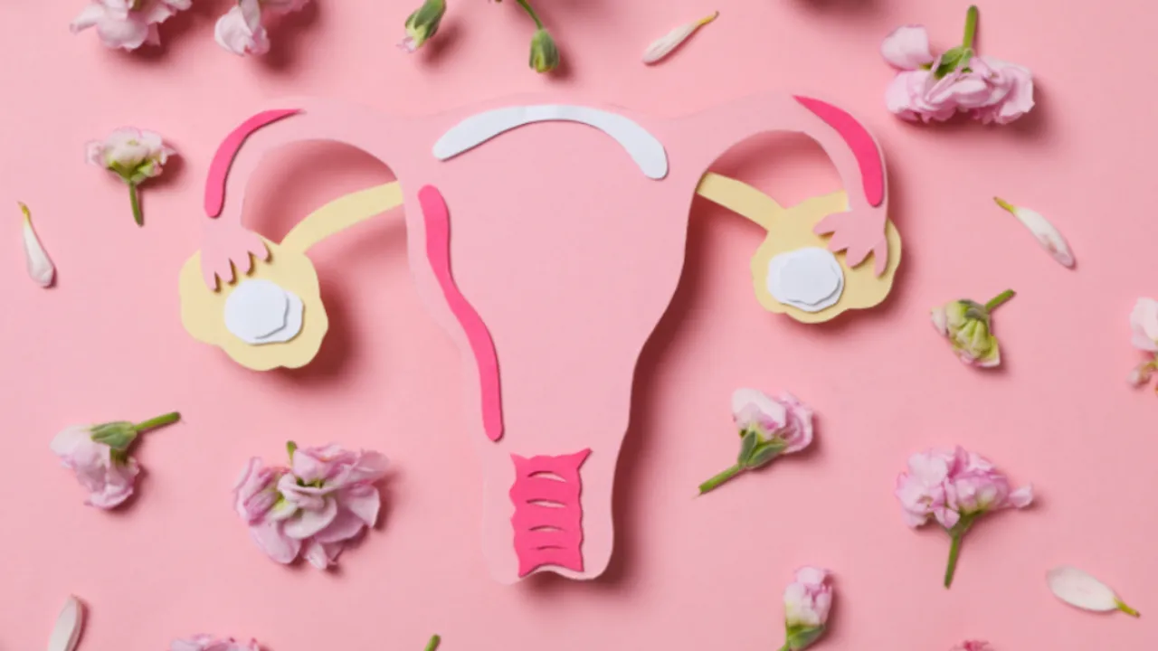 India's Menopause Challenge Economic Case For Better Women's Healthcare