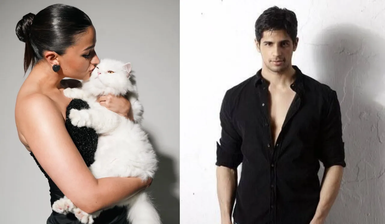 Sidharth Malhotra Alia Bhatt Cat Edward