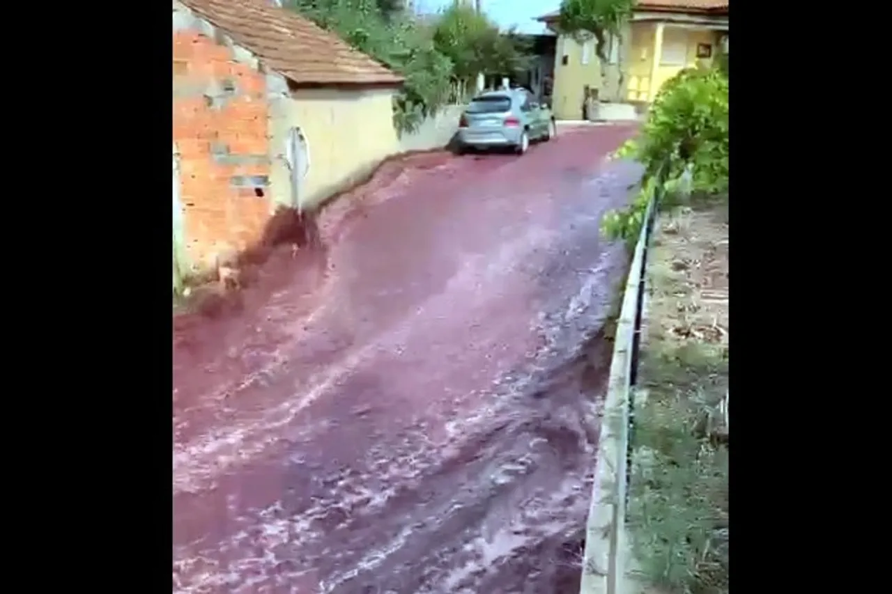 Portugal Town Goes Crimson As Wine Covers Streets