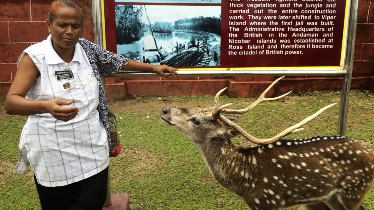 Who Is Anuradha Rao? Woman Who Looks After India's Deer Island