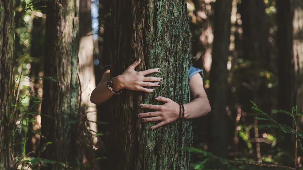 Just Bengaluru Things: City Dwellers Bark At 'Forest Bathing' Price