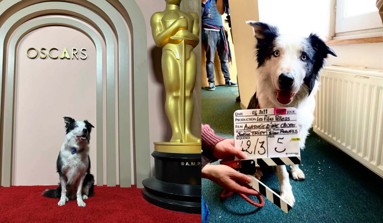 Oscar Luncheon: Watch Dog From 'Anatomy Of A Fall' Steal The Show