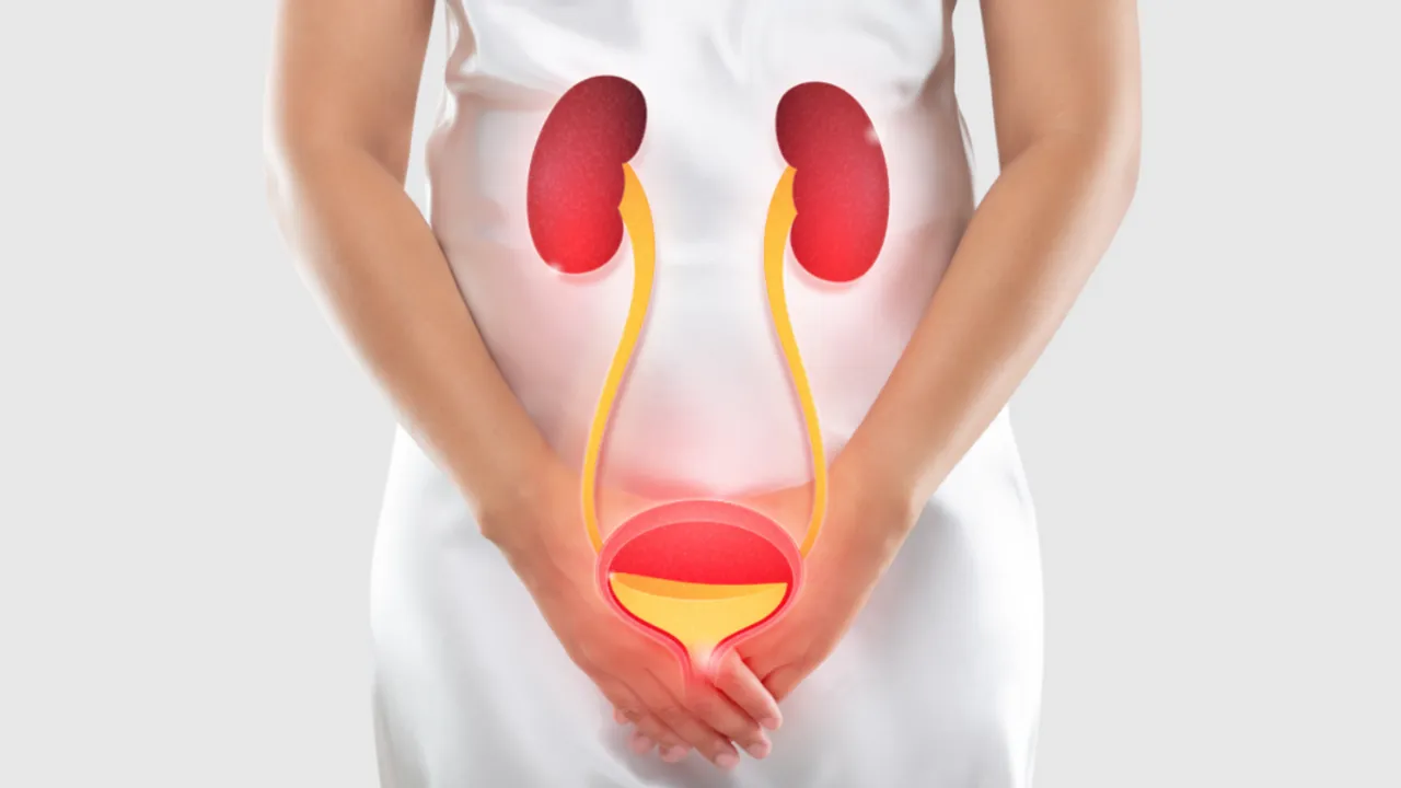 uti urinary tract infection