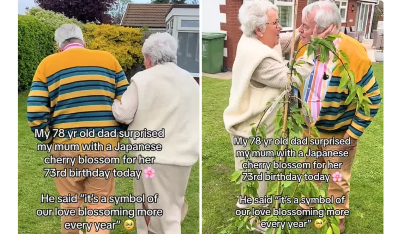 Viral Video:  78-Year-Old Man's Surprise For Wife Sparks Tears Of Joy