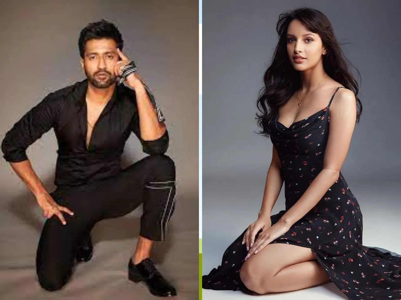 Vicky Kaushal And Tripti Dimri