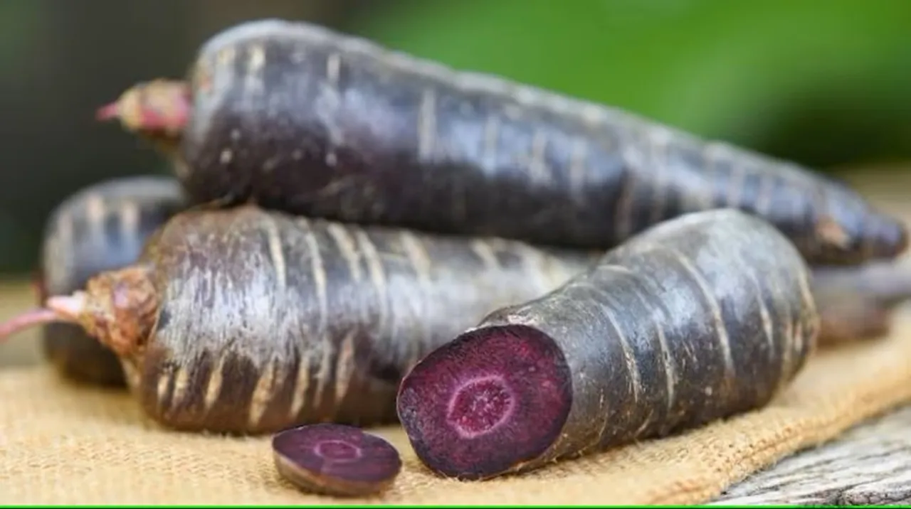 Health-benefits-of-purple-carrots