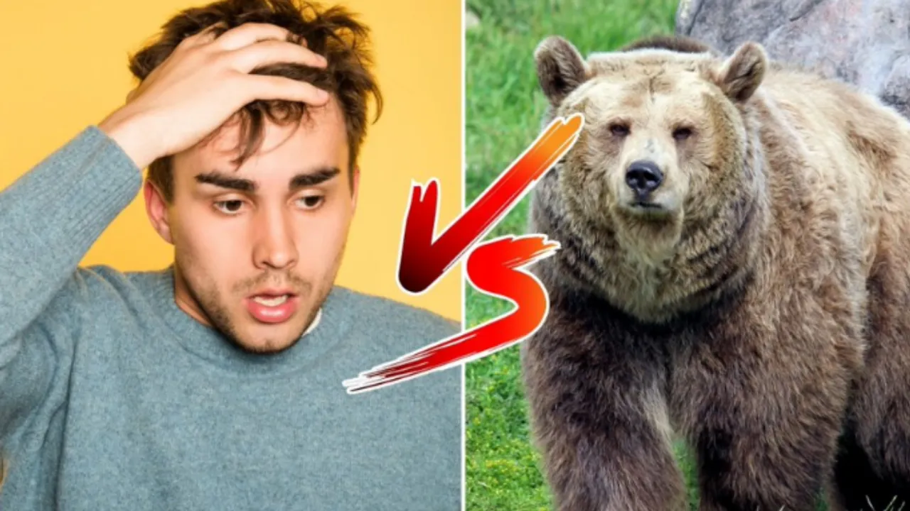 man vs bear in the woods