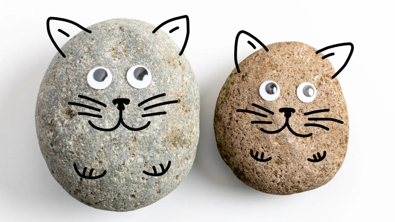 Pet Rocks, image sourced from Getty Images