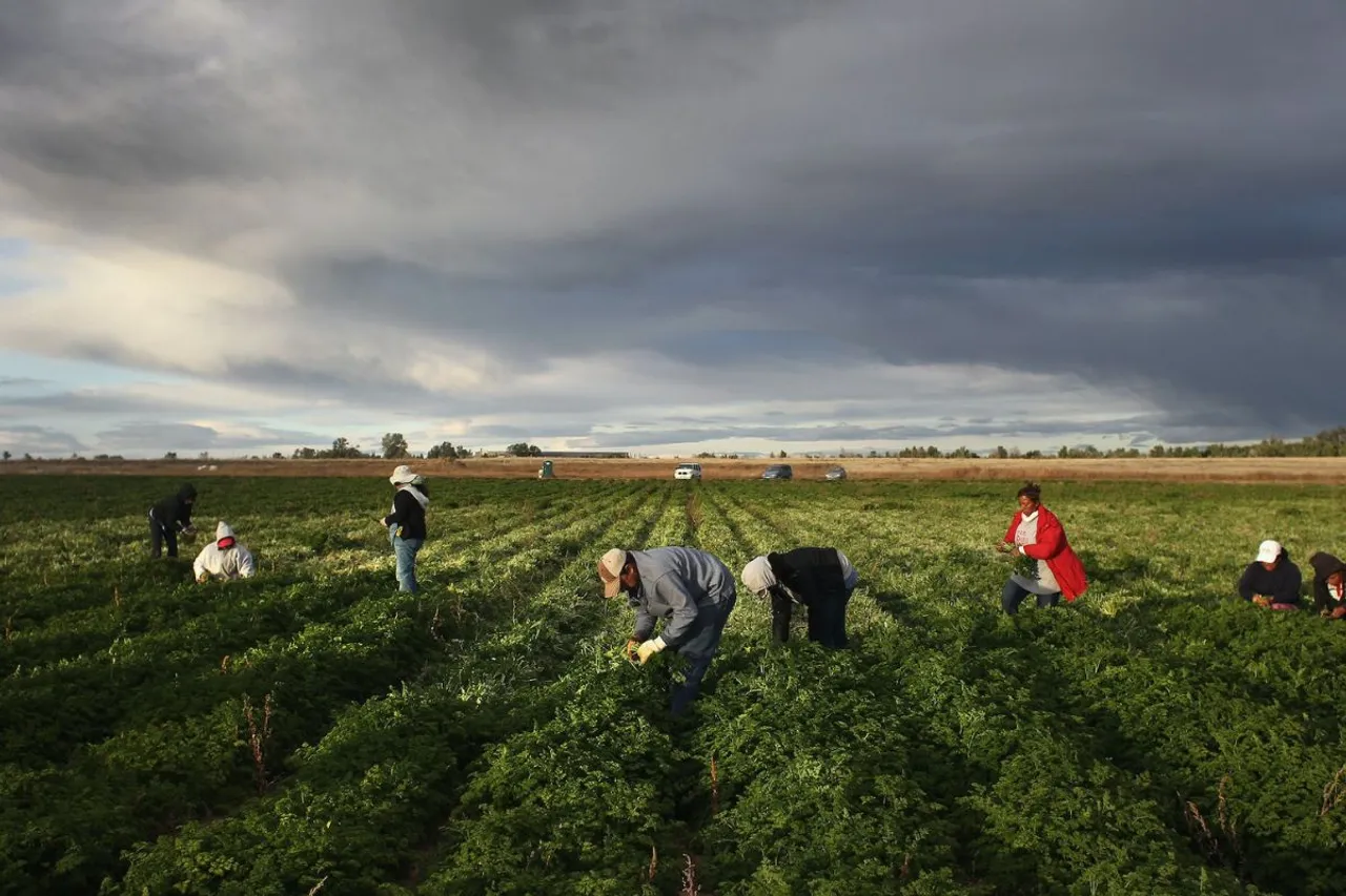 US Farmers