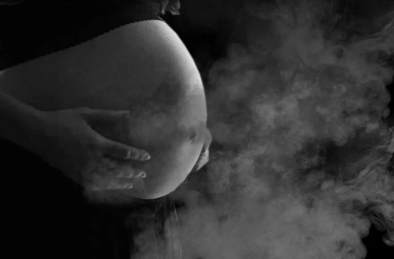 Pollution and Pregnancy