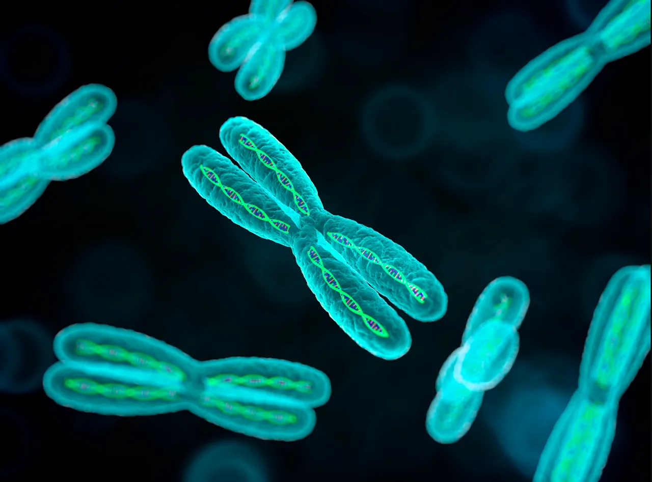 autoimmune diseases could be linked to x chromosome
