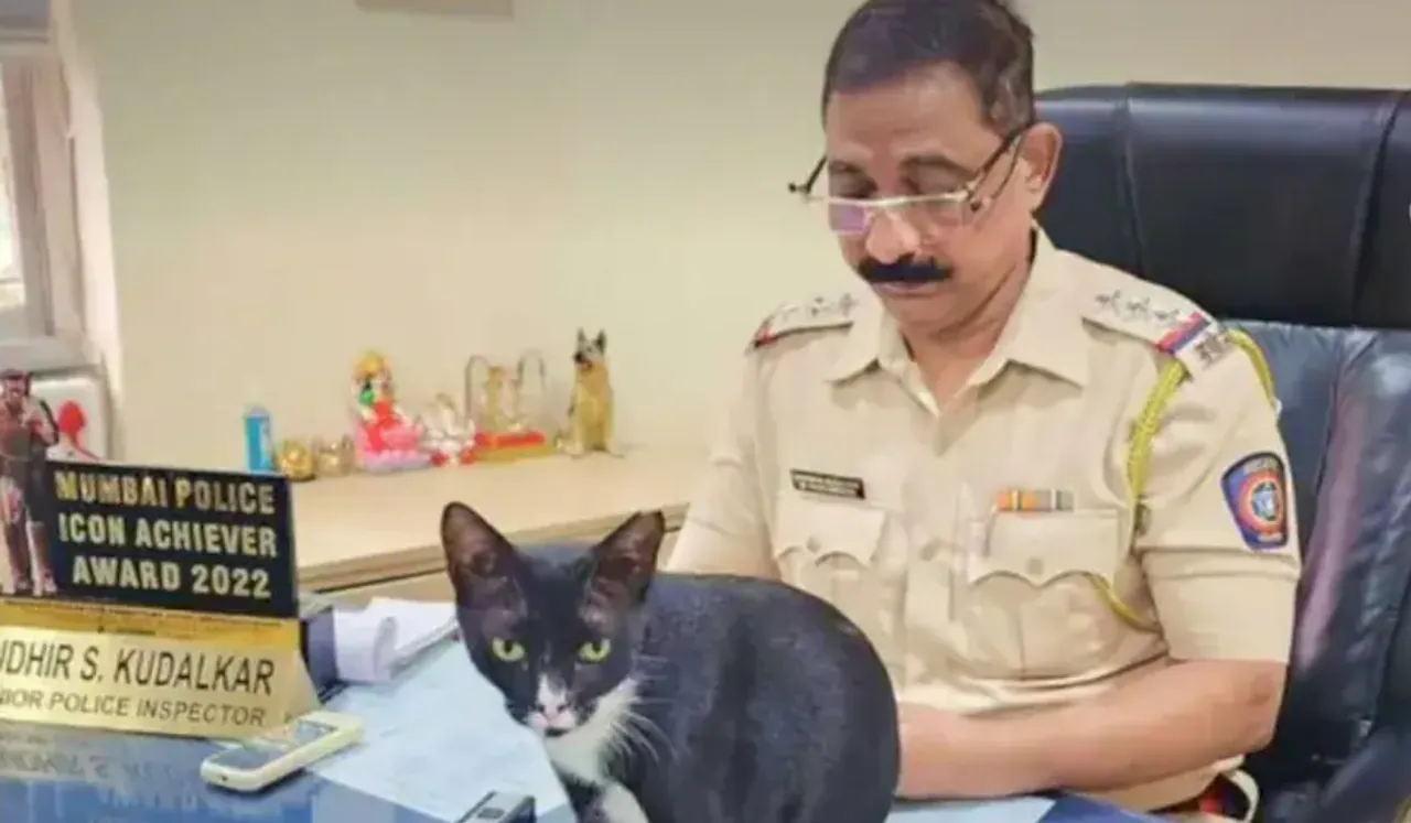 How A Sleepy Cat Took Over Mumbai Police Inspector's Office Chair